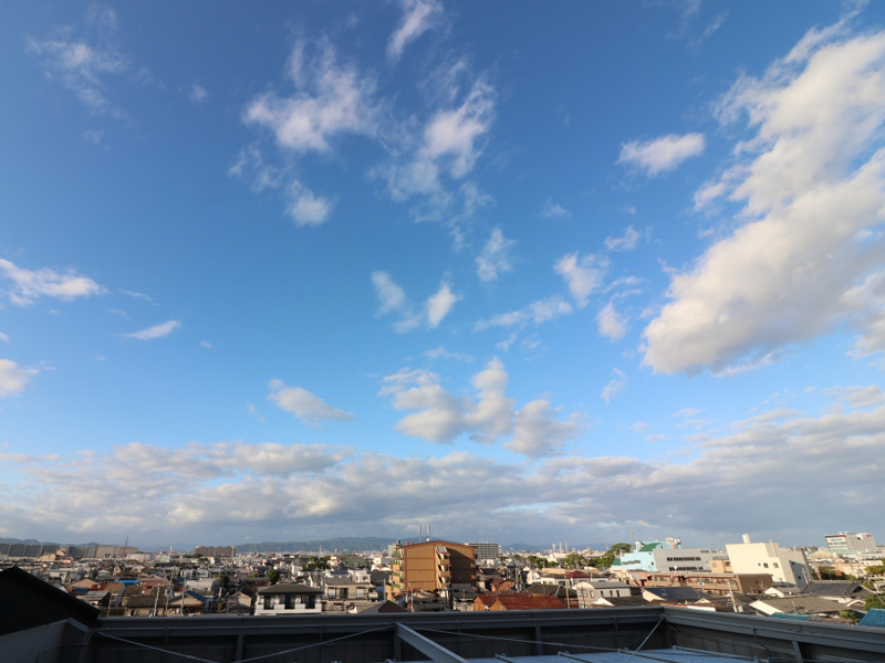画像05