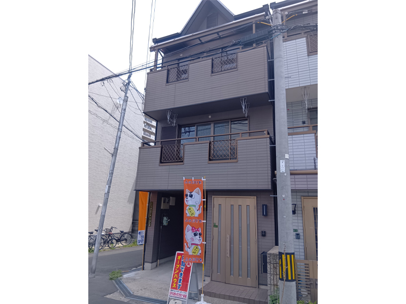 画像01